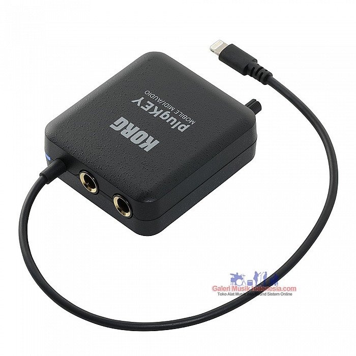 KORG PLUGKEY-WH その他